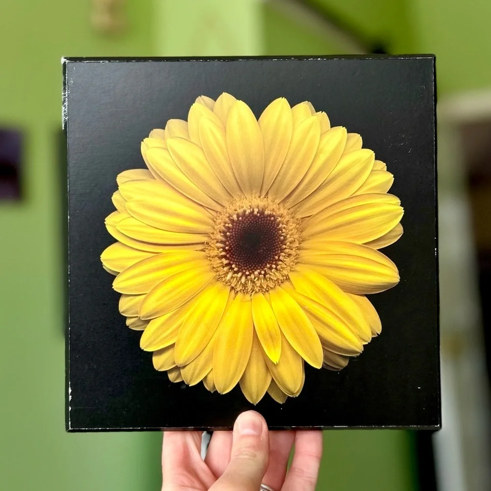 Stunning Floral Vibrant Yellow Cottagecore Wooden Wall Plaque Decor